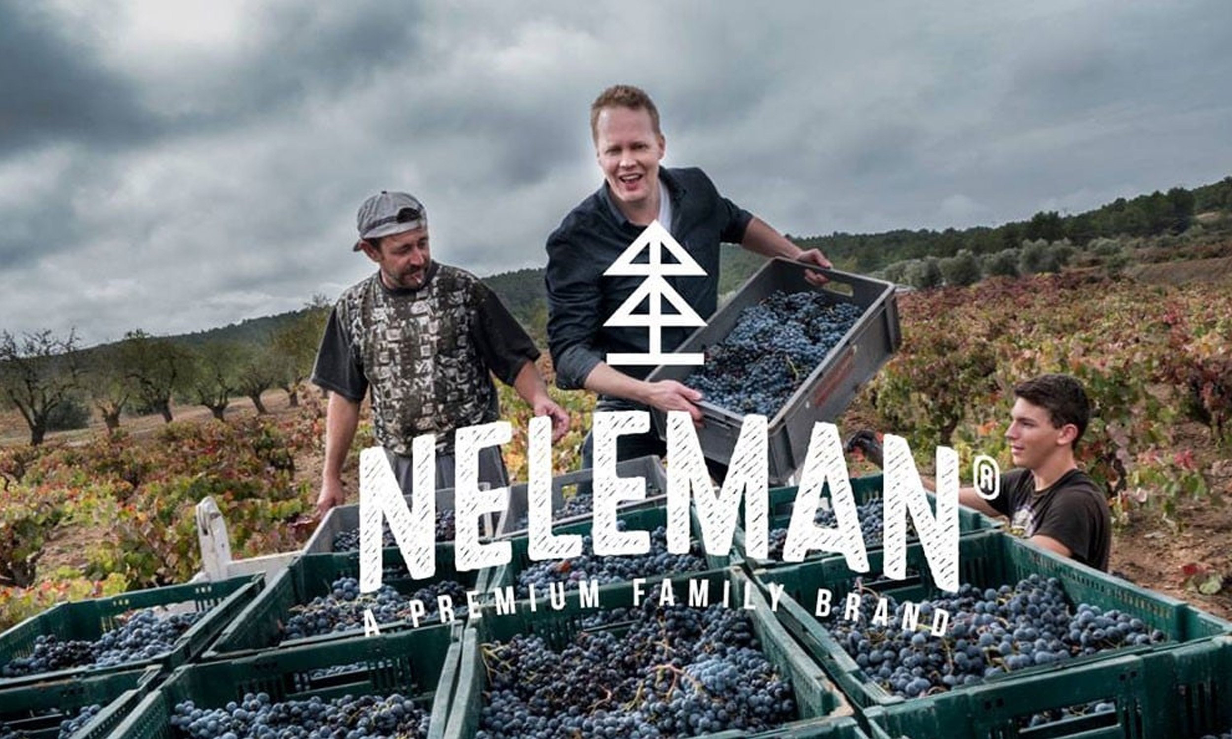 Just Fucking Good Wine Pakket